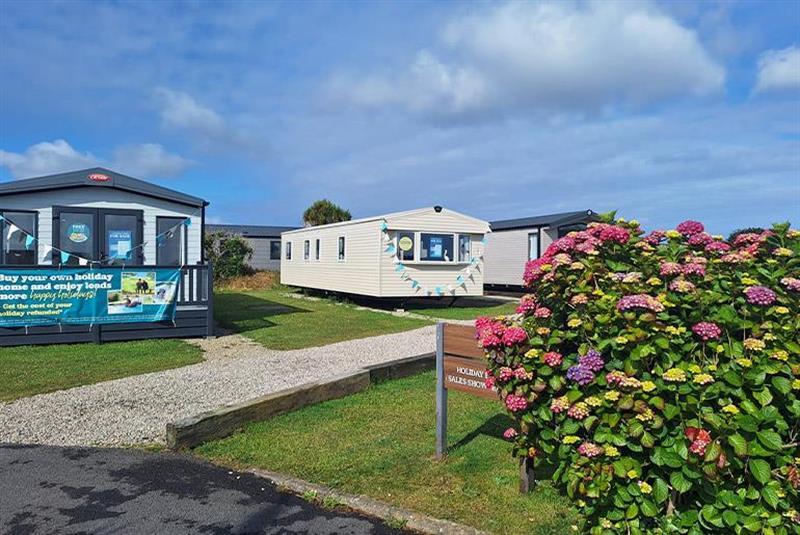 Willerby Rio Gold SB0257 Accommodation in Newquay